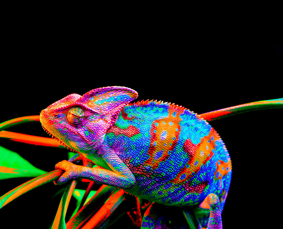 3308维多利亚线路检测中心(中国)有限公司